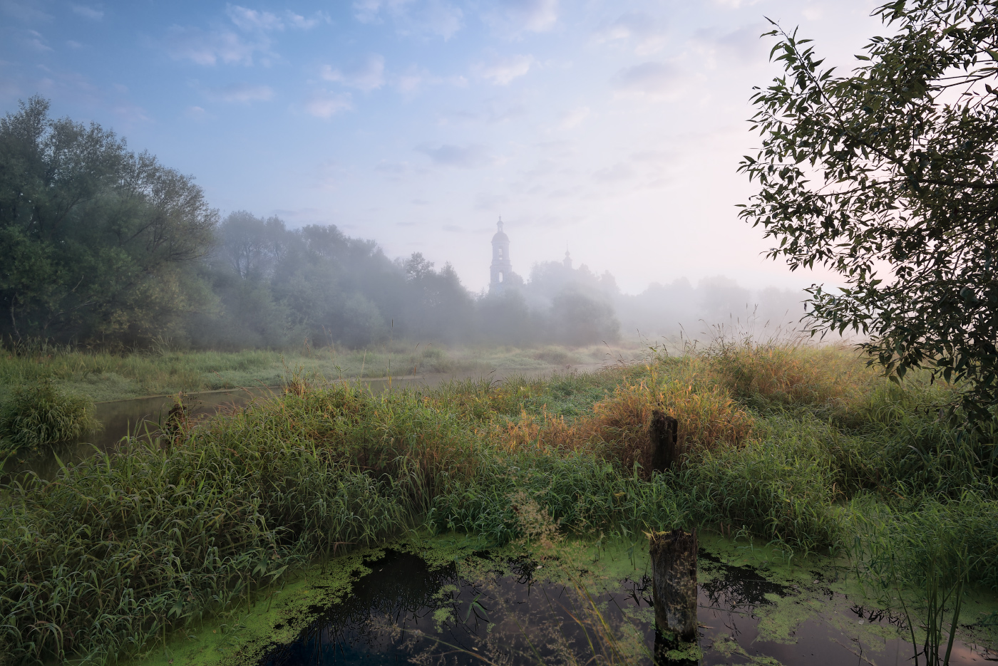 туманное утро