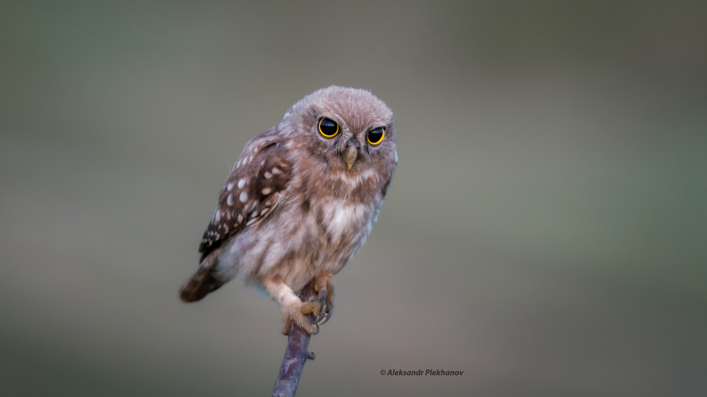 Встречая рассвет