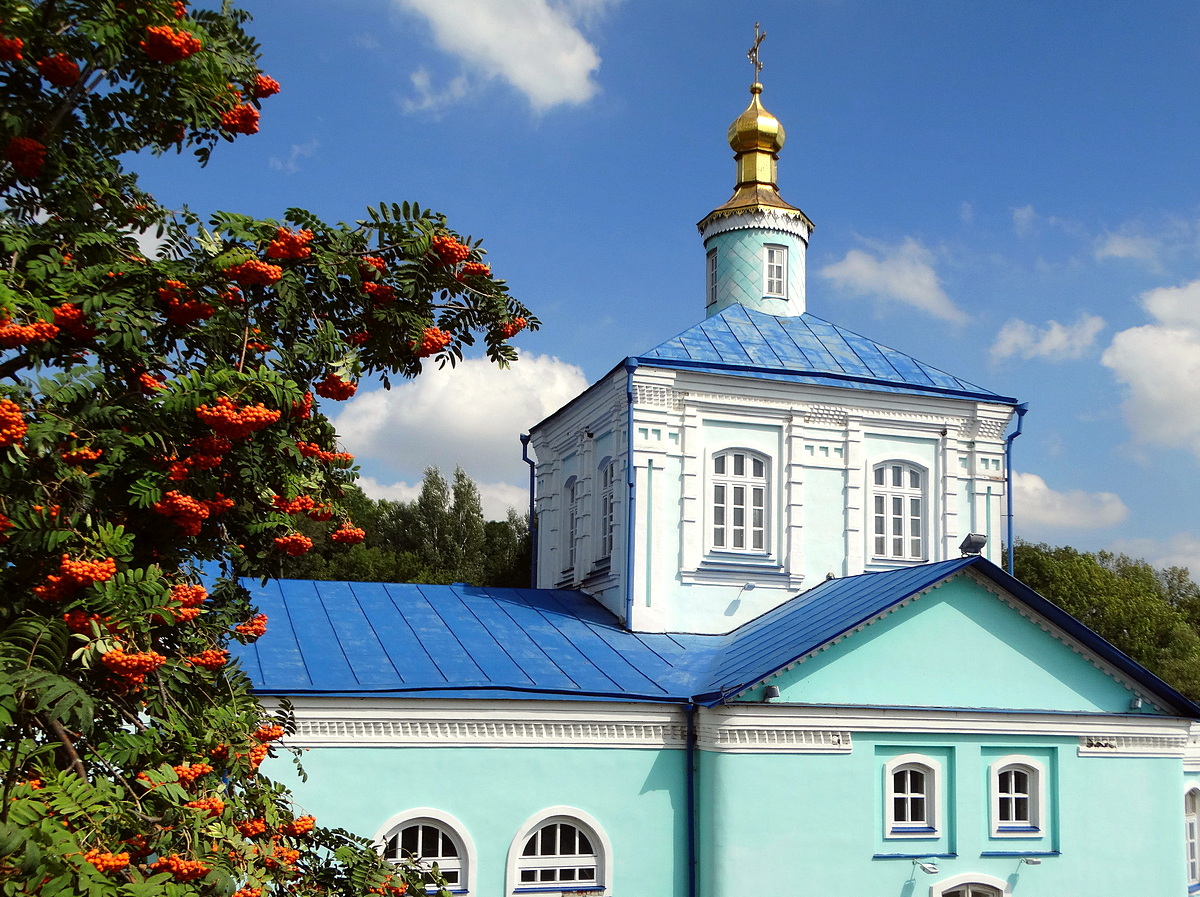 Спелая рябина-вестник осени