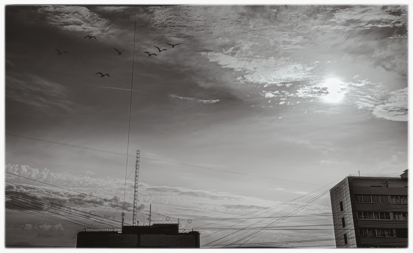 Последний радиолюбитель.