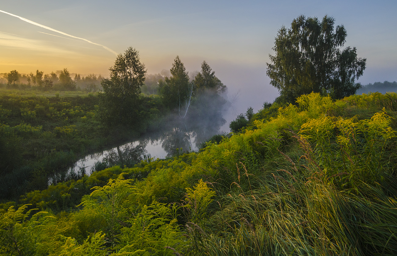 Одно утро лета