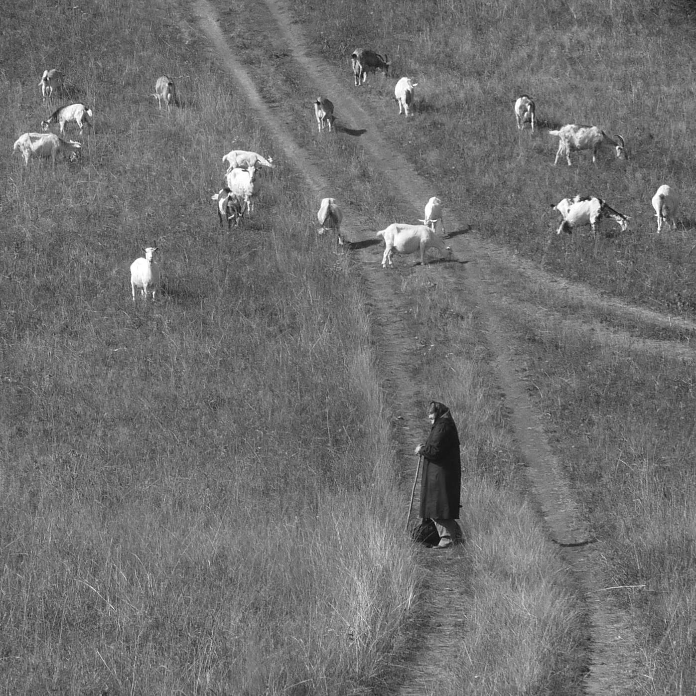 Смотрящая...