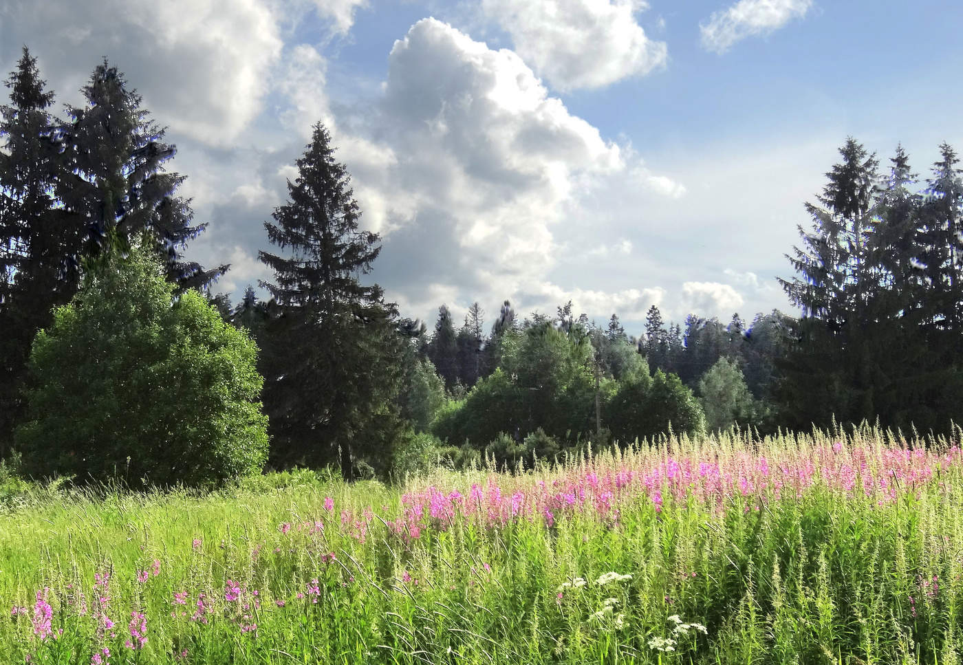 Воспоминание о лете