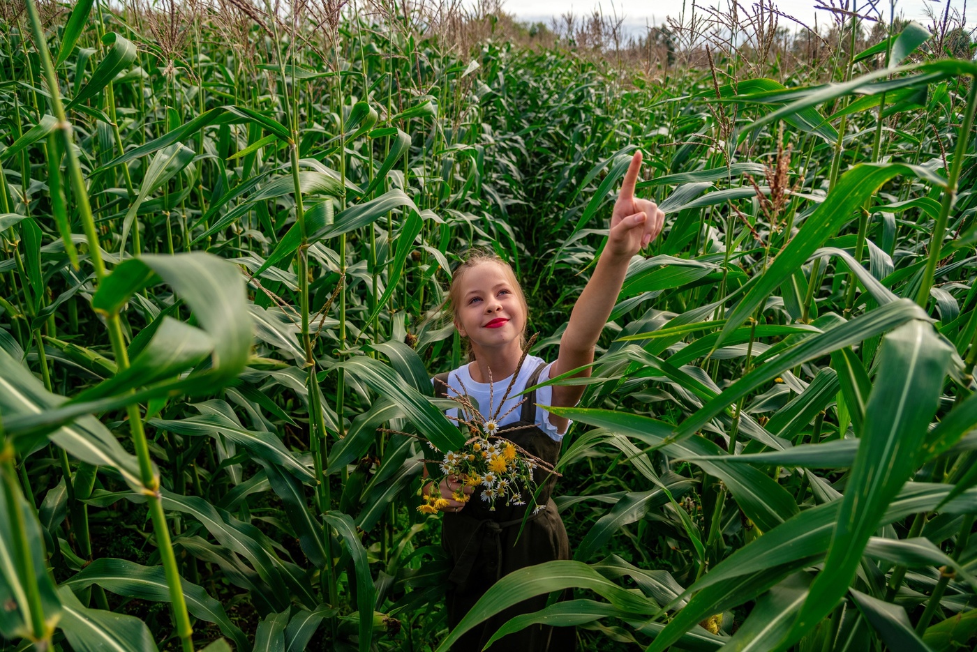 Смотри летит кукурузник!