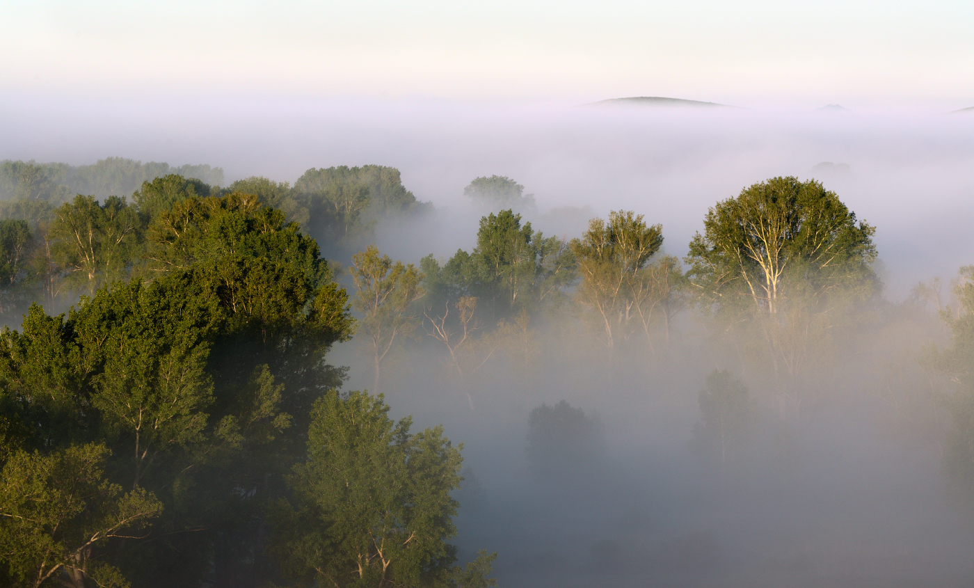 Утро туманное