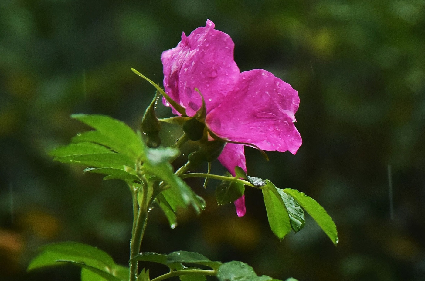 Вот и лето прошло ...