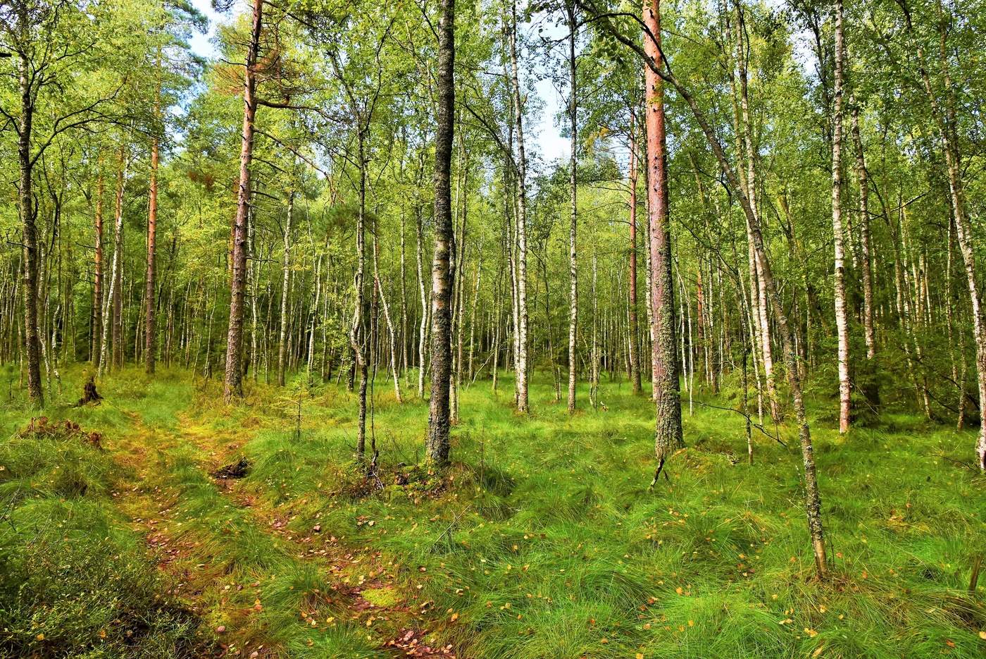 Здравствуй, Осень ...