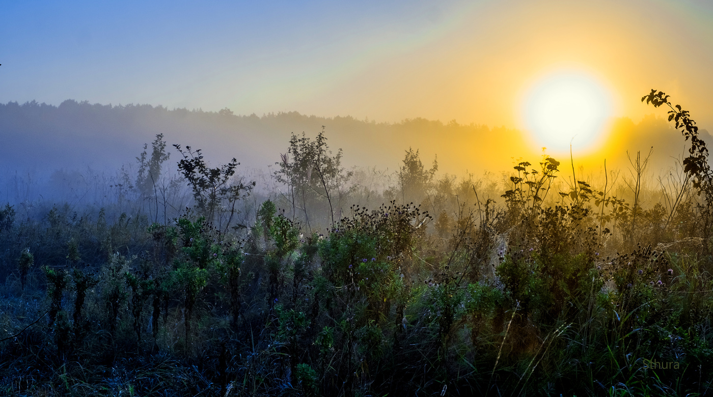 Лето. Рассвет.