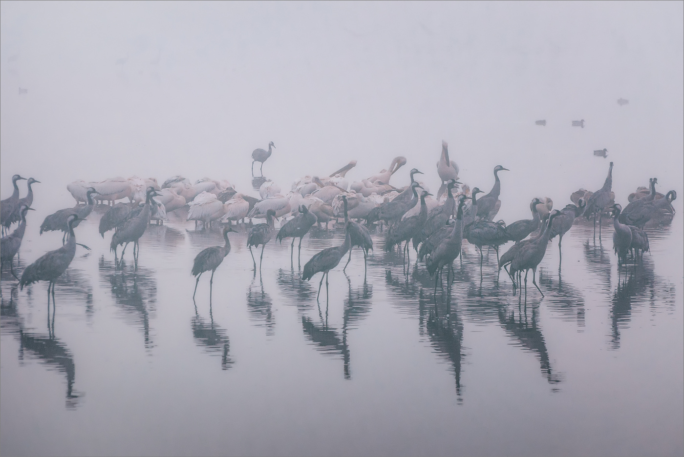 Равнение на восход