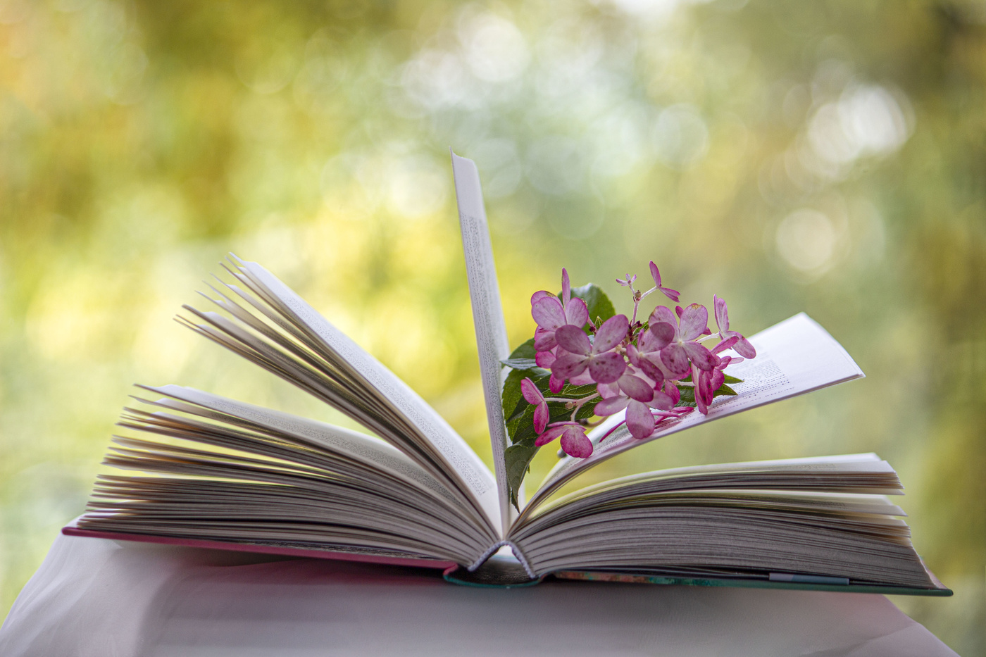 Осенний роман