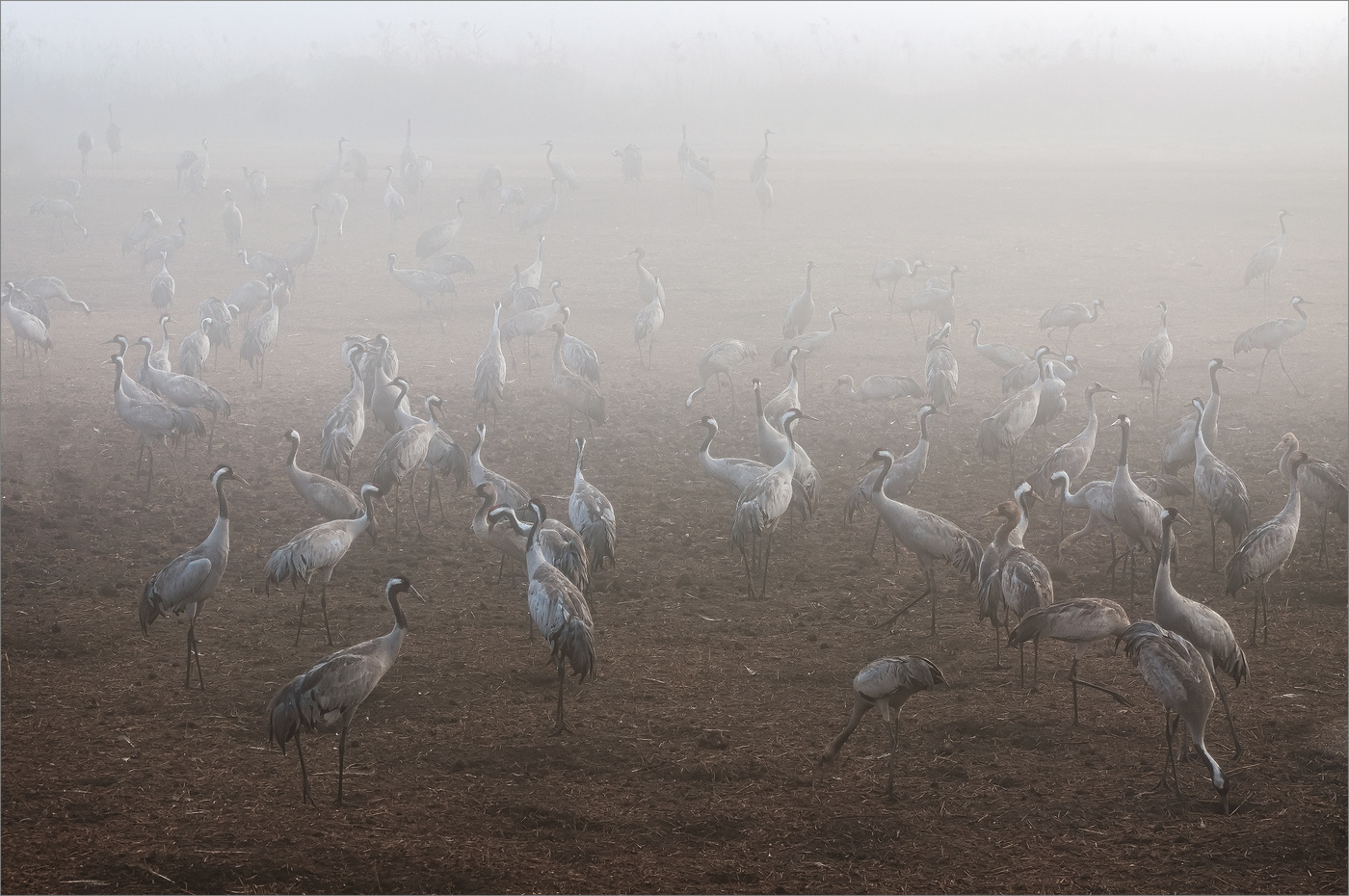 Незадолго до восхода