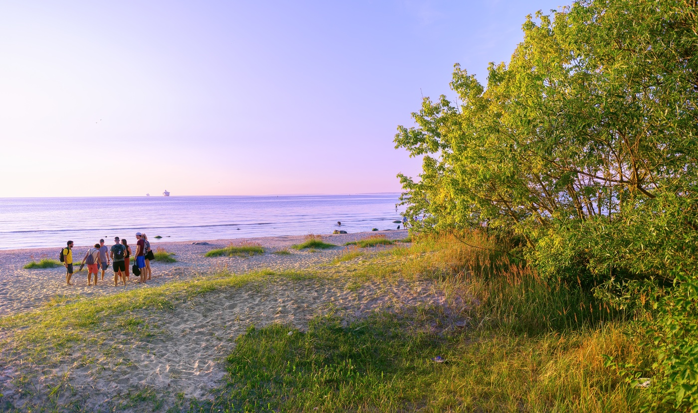 Возле Таллинна