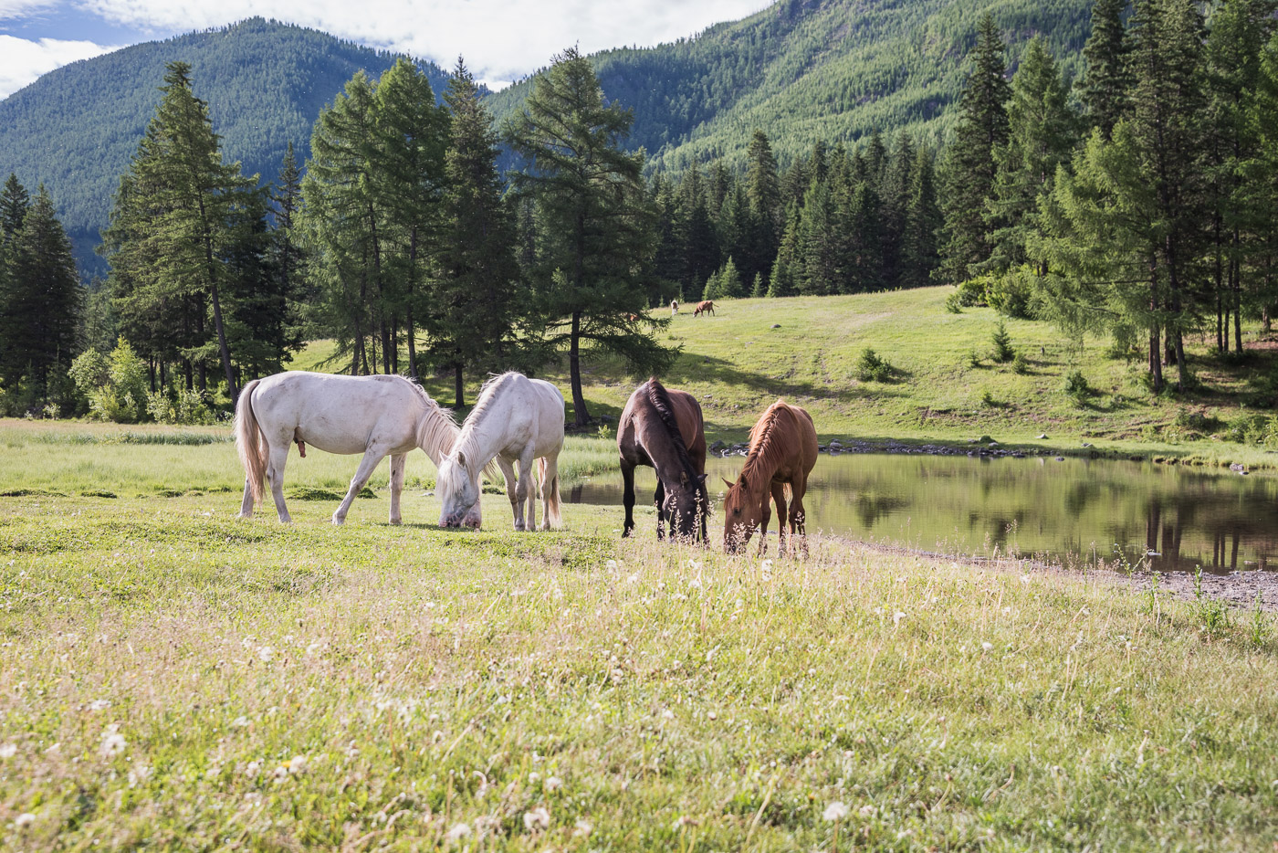 Все подружки по парам...