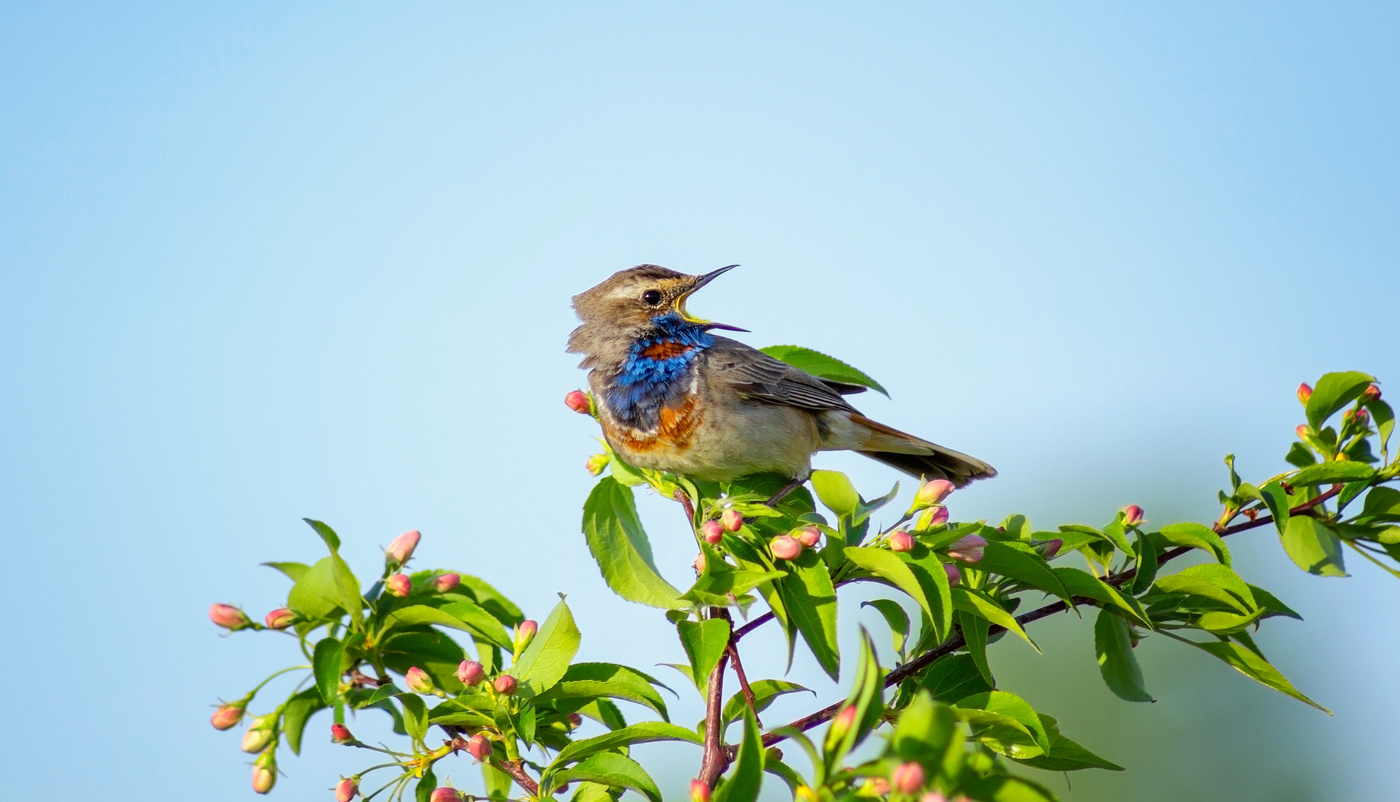 За мной не занимать)