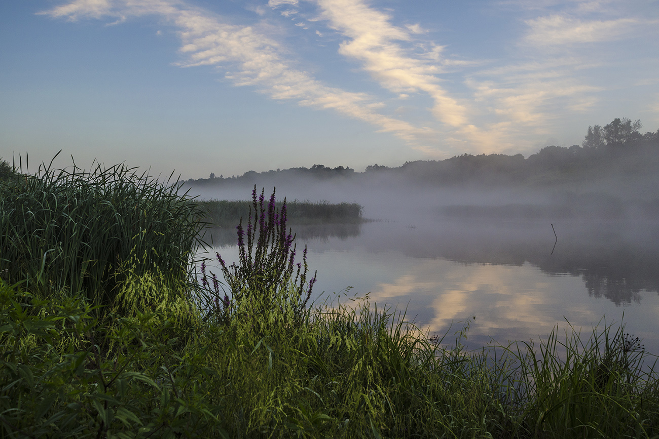Летний пейзаж. Архангельское