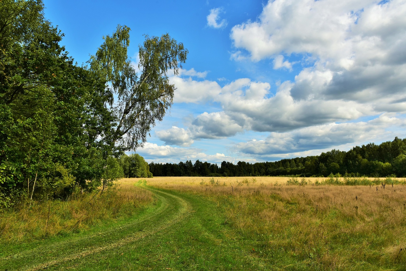 В начальных числах сентября ...