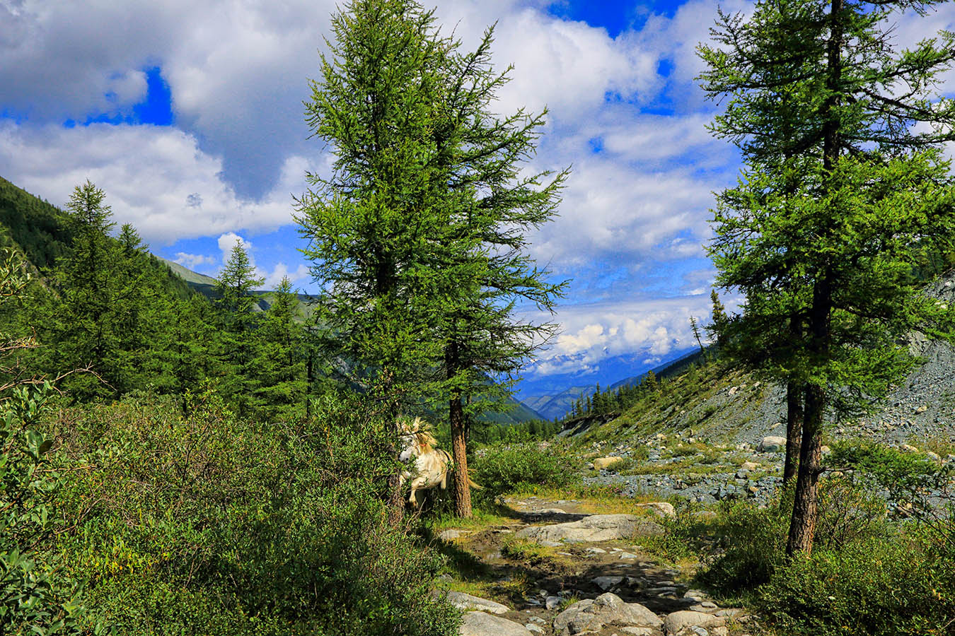 В долине реки Аккем