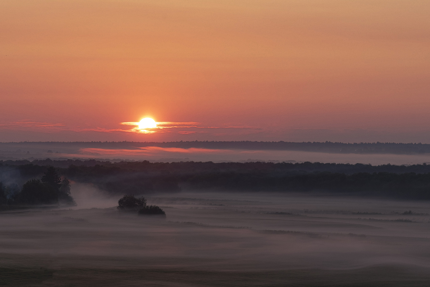 Туманное утро