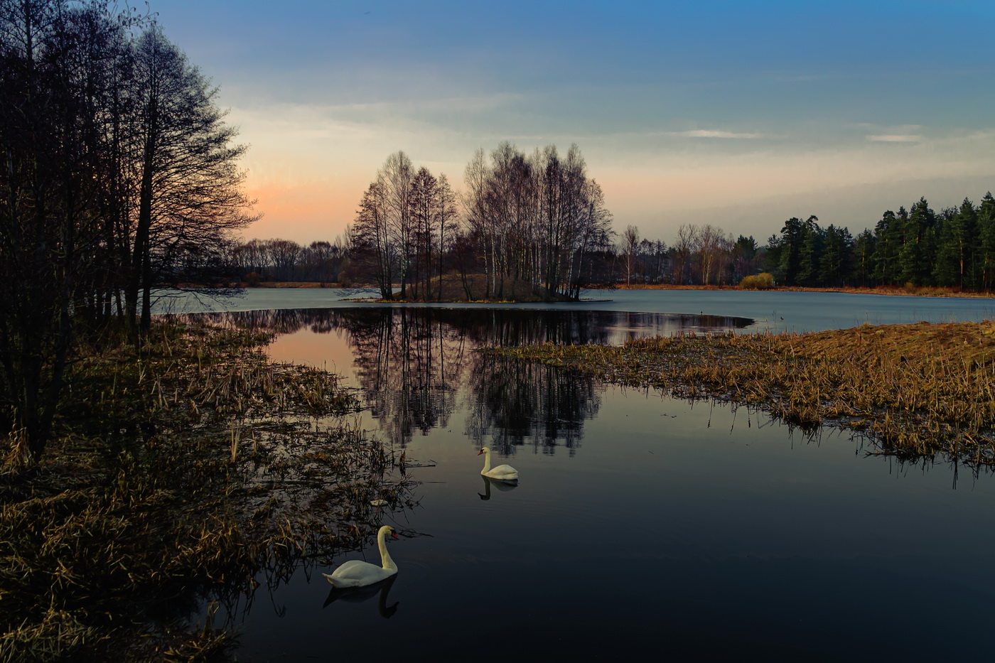 Лебединое озеро