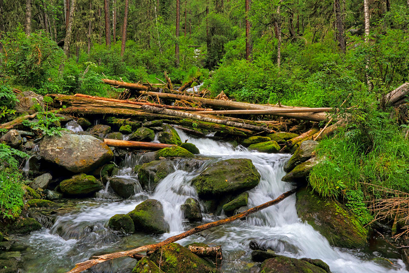 Таежный ручей