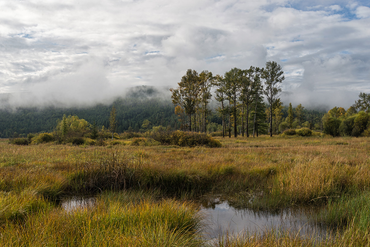 Die Weitergabe Nebel.