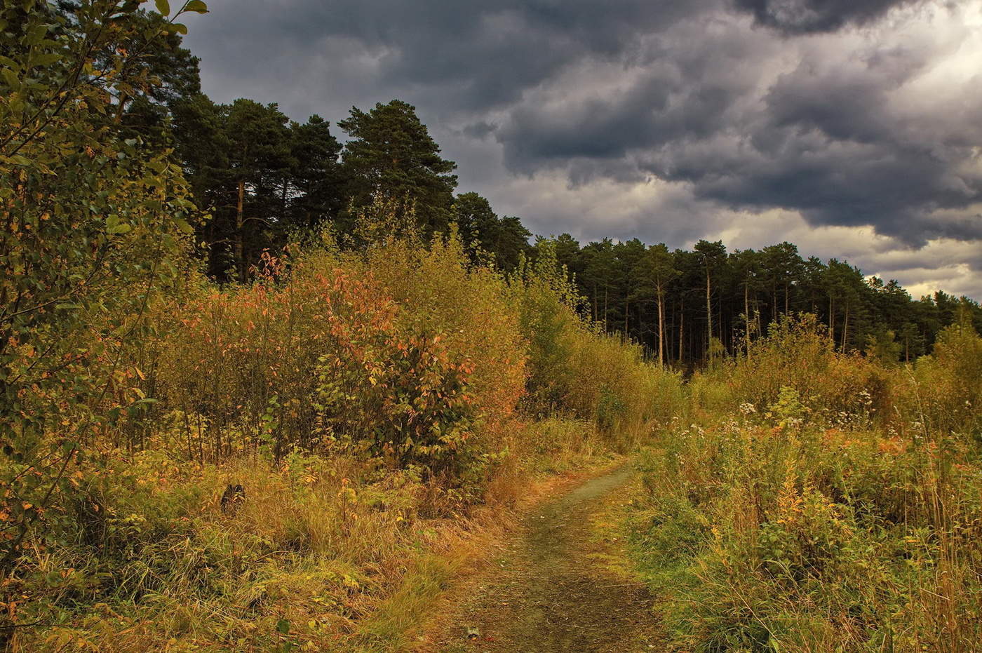 Сентябрьским днём.
