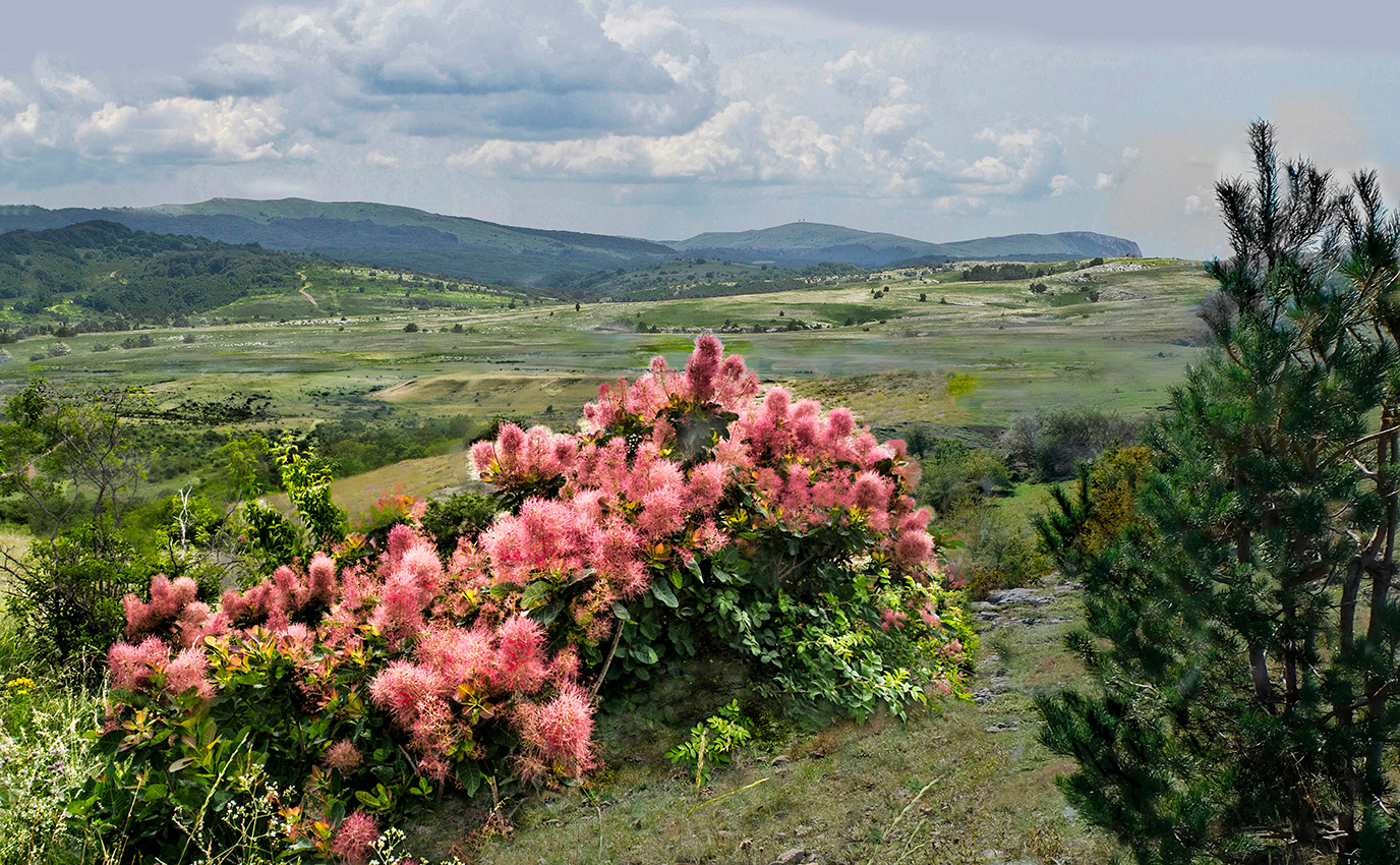 Домашнее фото