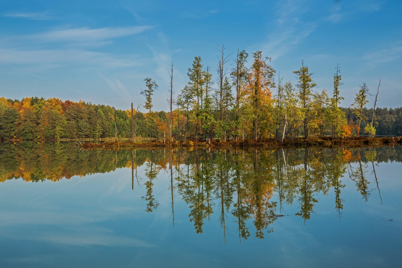 Остров и отражения