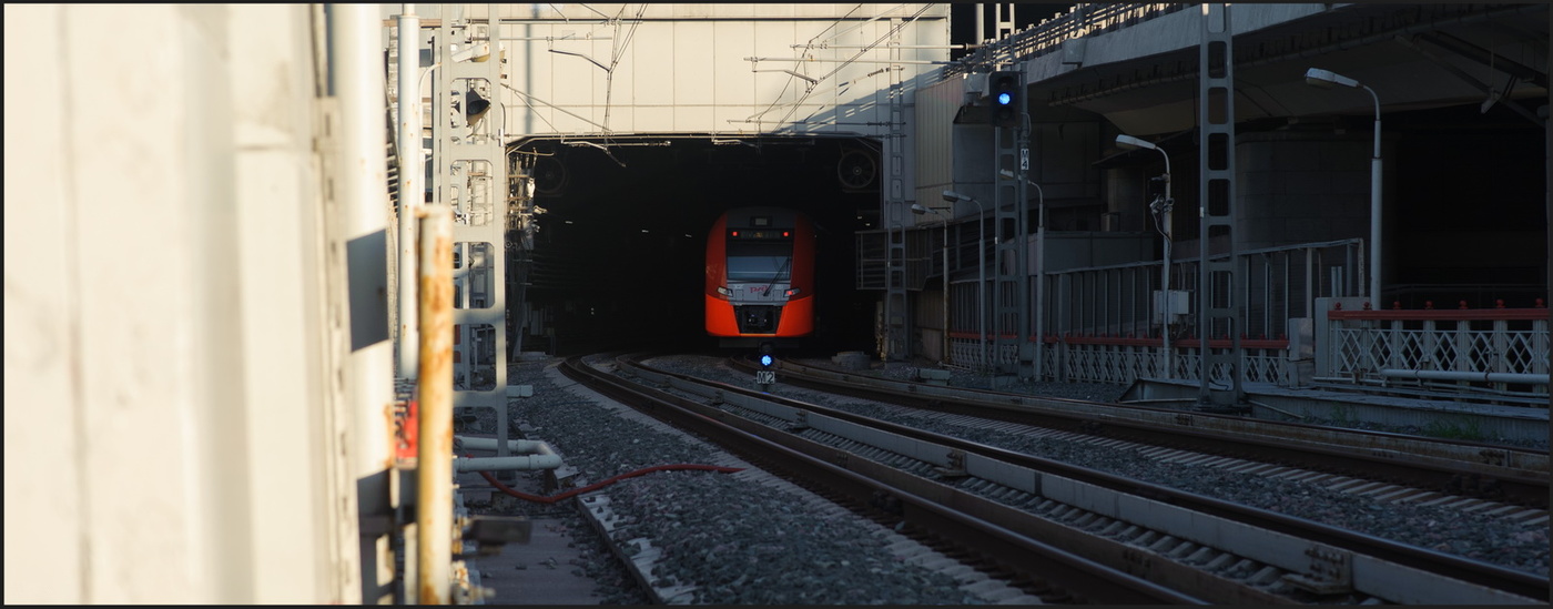 Ласточка-мурена