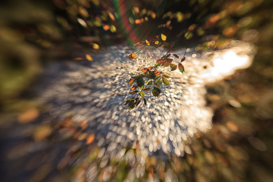 Жизнь вокруг