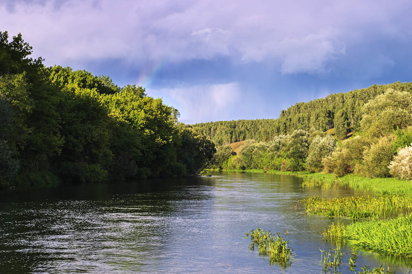 После дождя