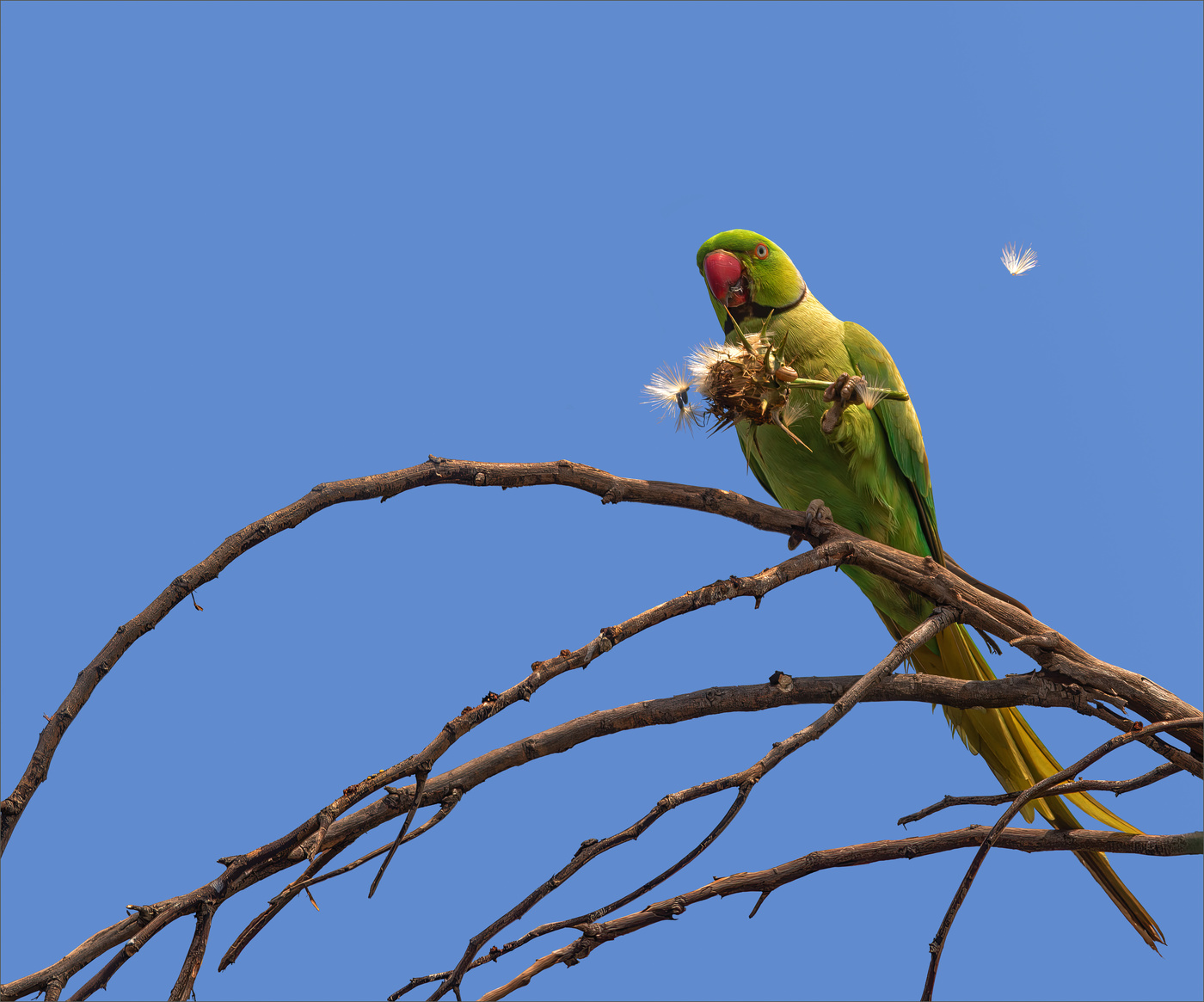 Вкуснятинка