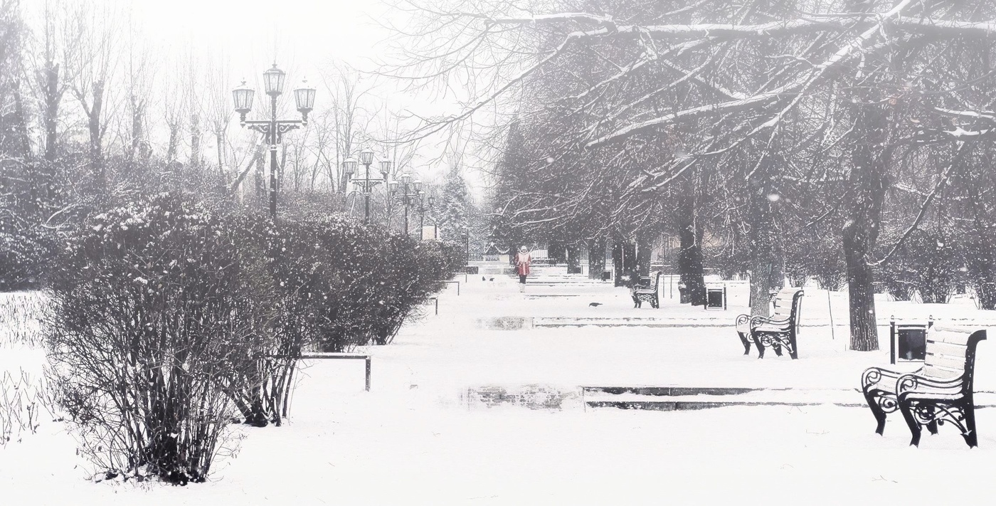 В зимнем парке