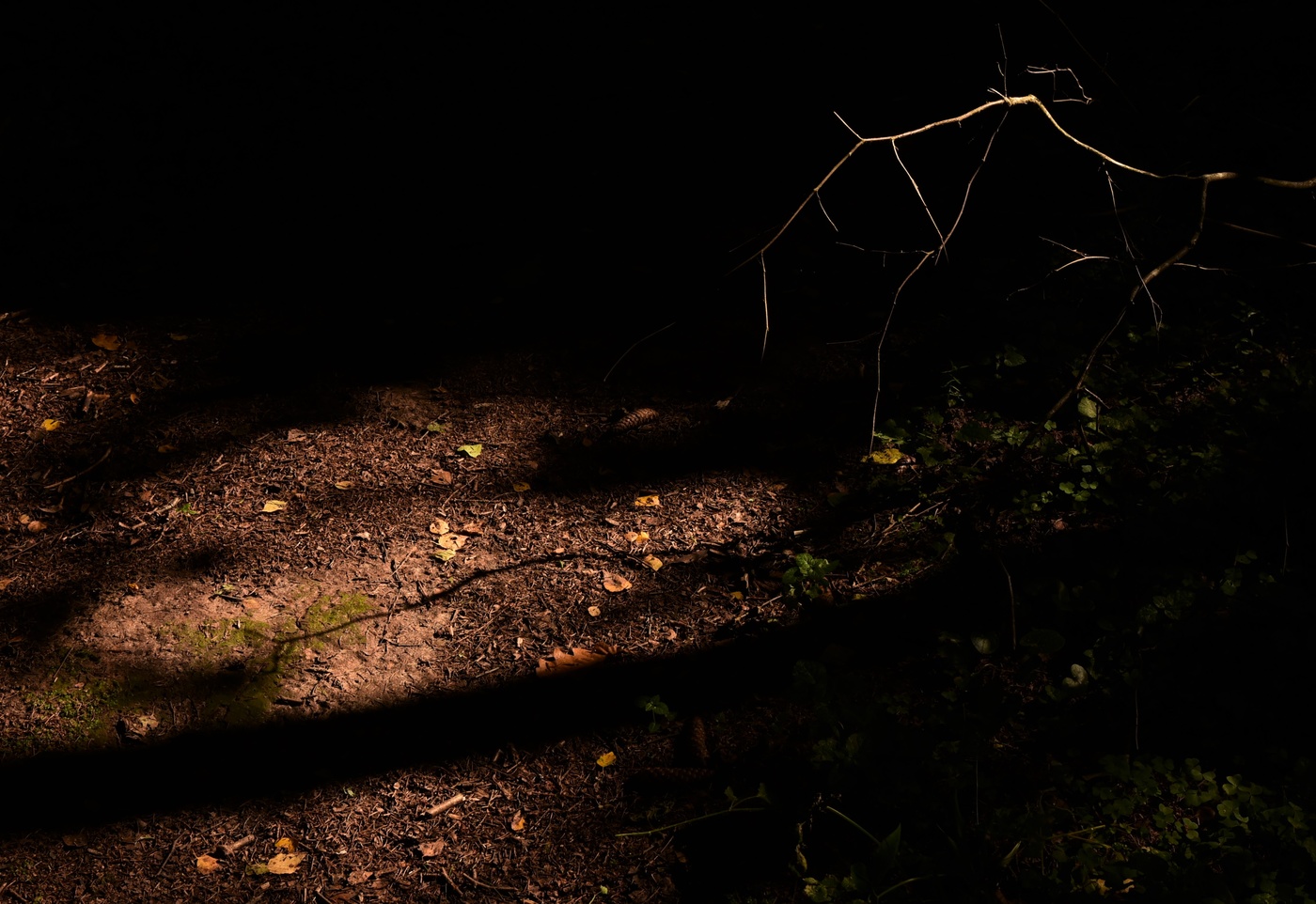 "Свет, Тьма - не разделимы, одно всегда в другом..."