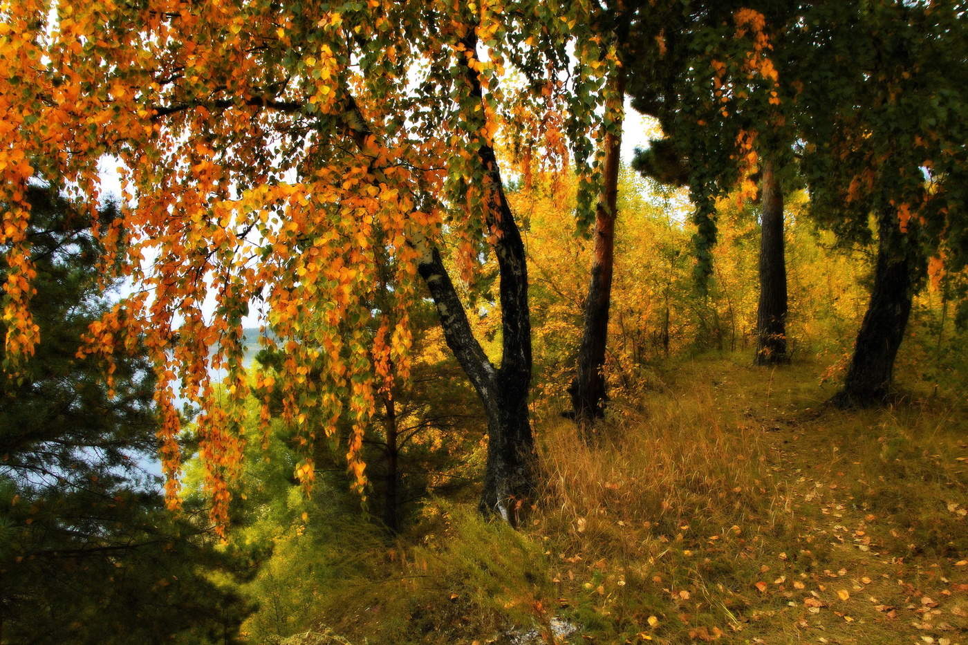 *Золото сентября.**