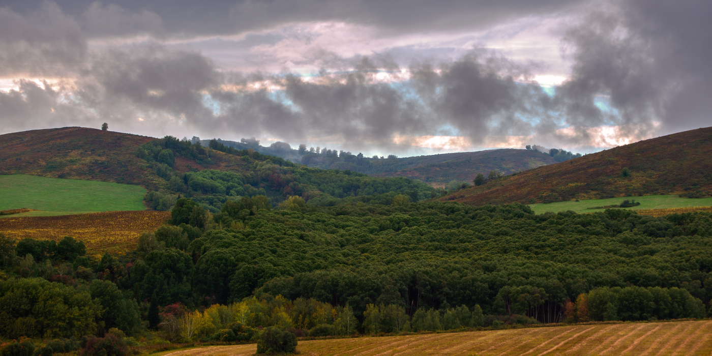 Осеннее ненастье
