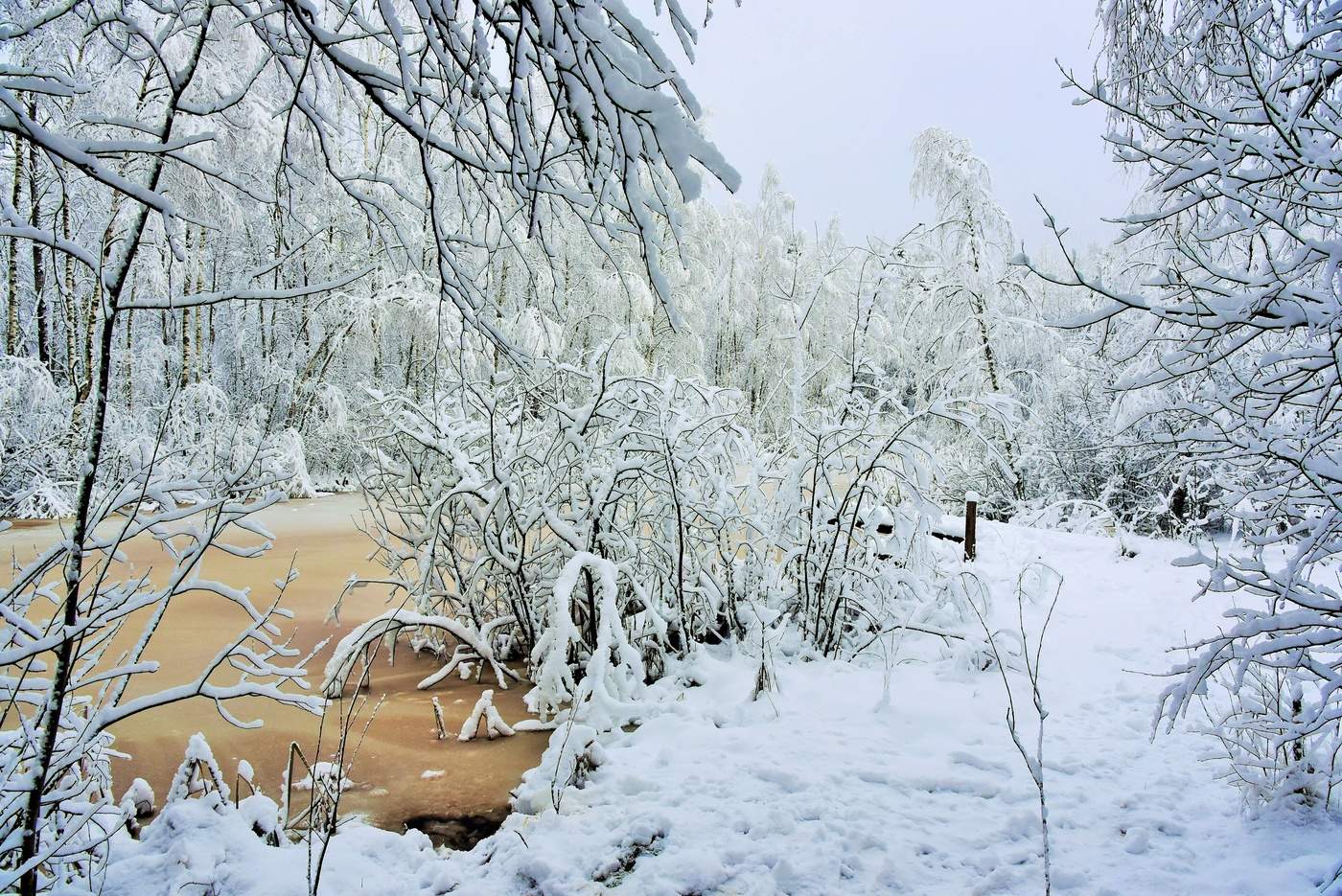 Вдруг вспомнилась зима ...