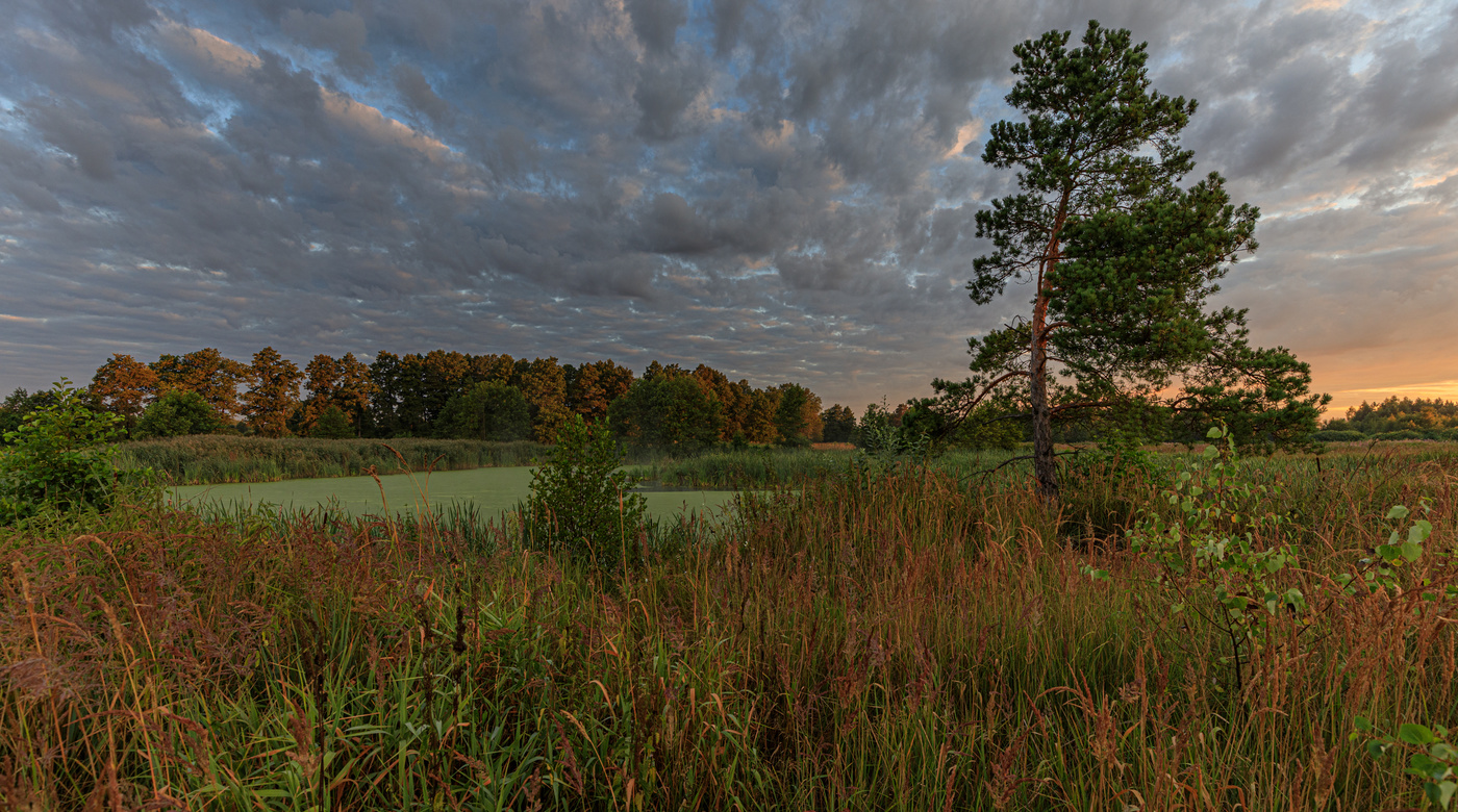 На рассвете