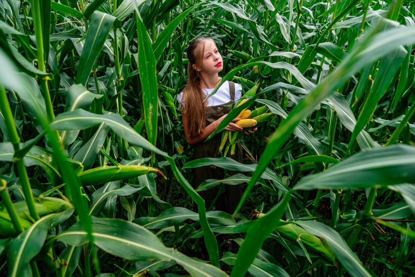 Затерявшаяся в кукурузном лесу
