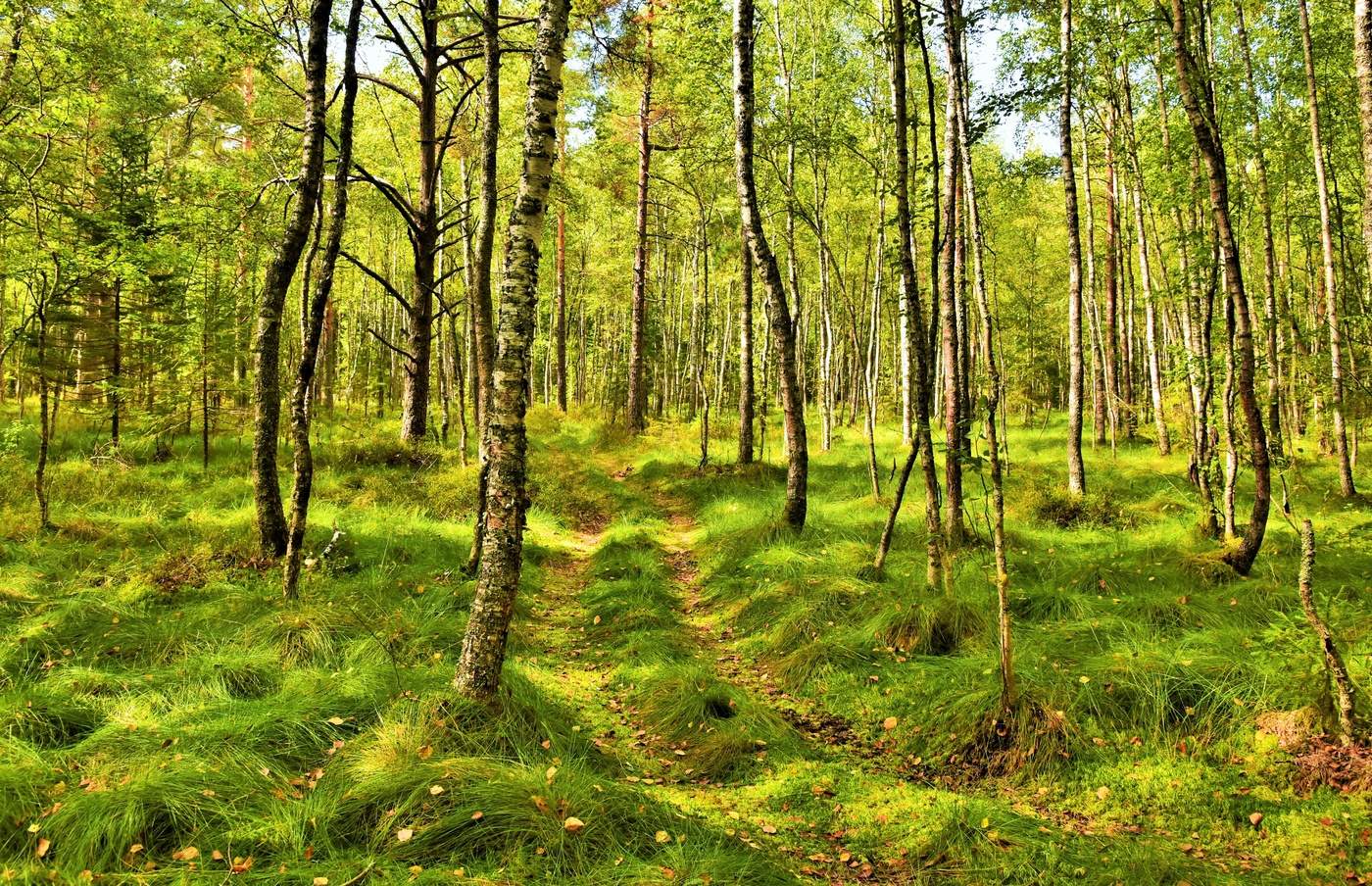 "У сентября такой особый пряный запах..."