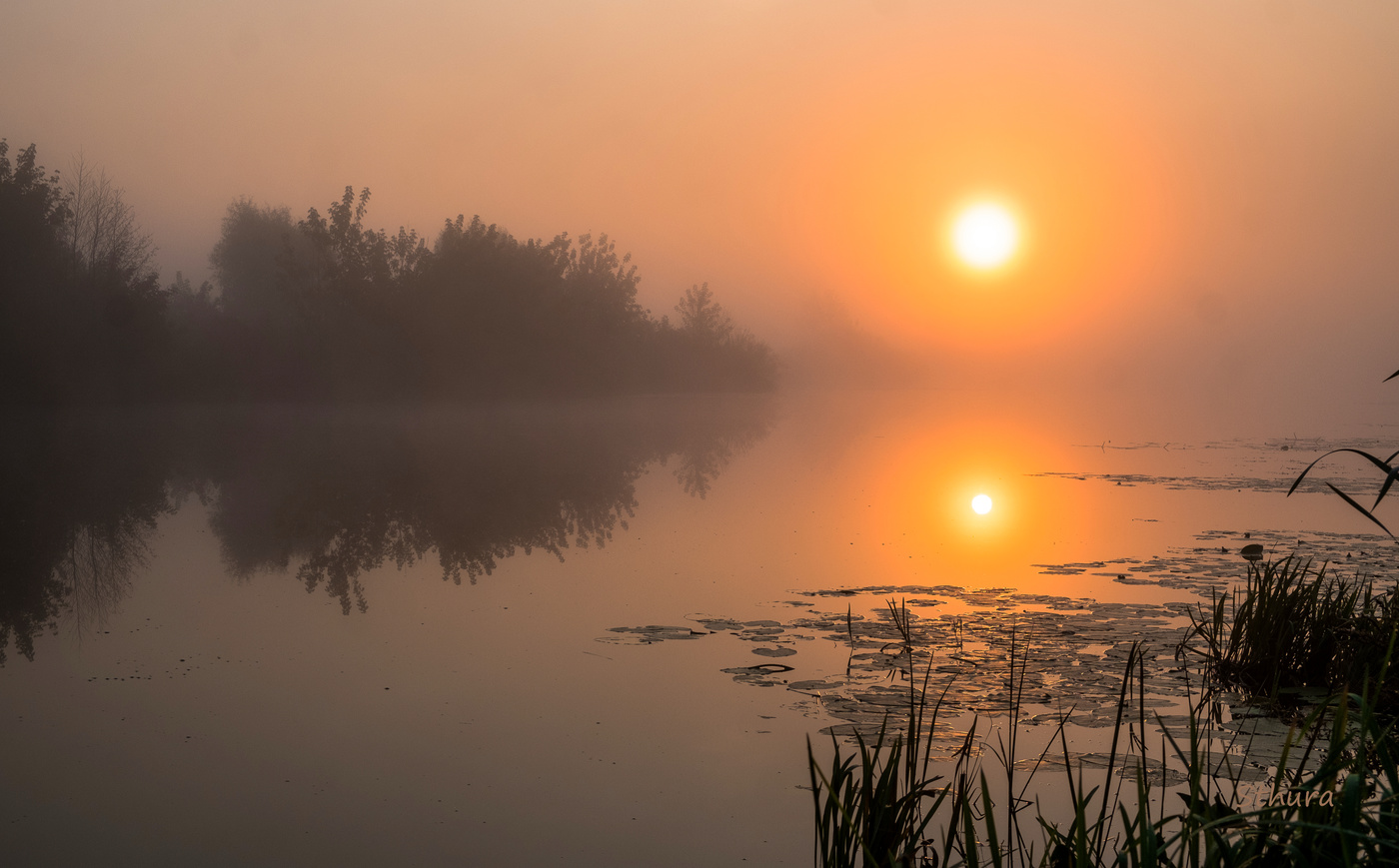 Тишина на рассвете.