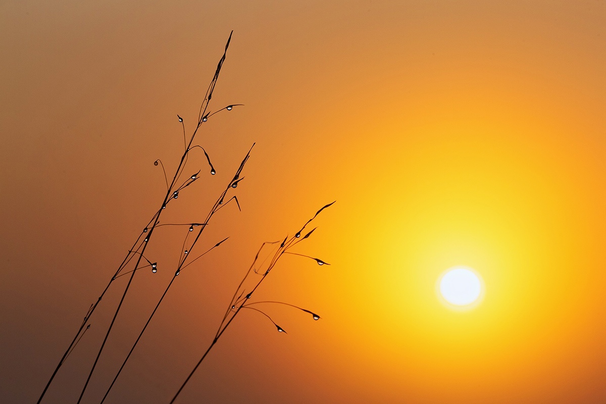 Доброе утро