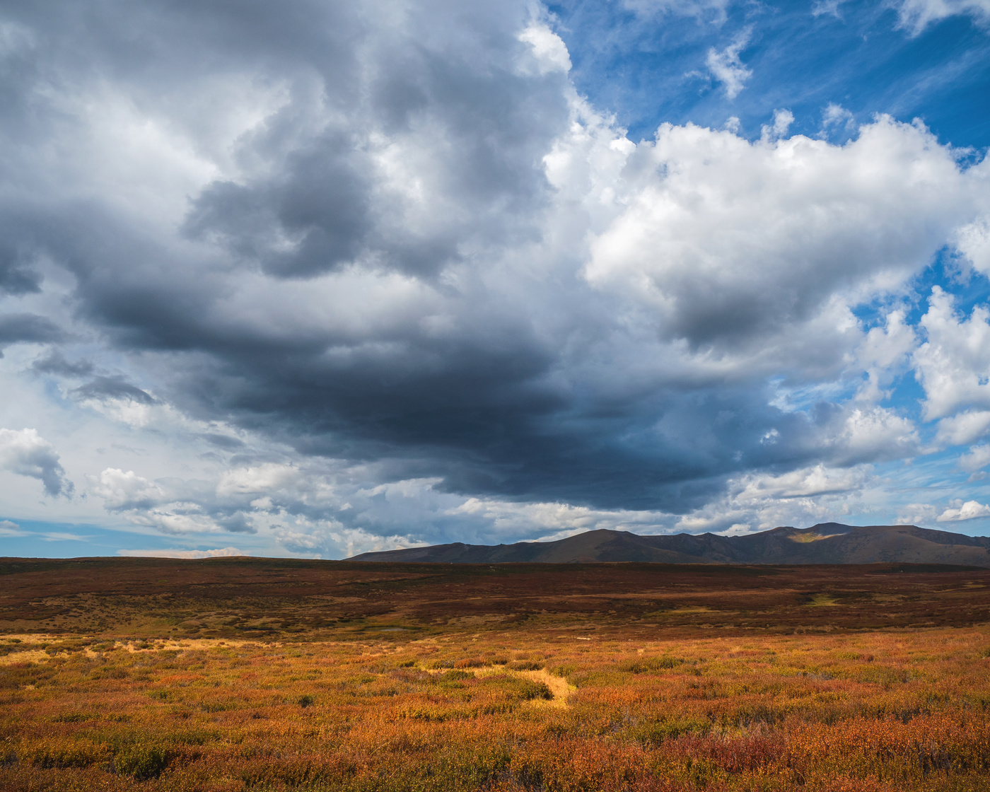 "Буря мглою небо кроет, Вихри снежные крутя"...