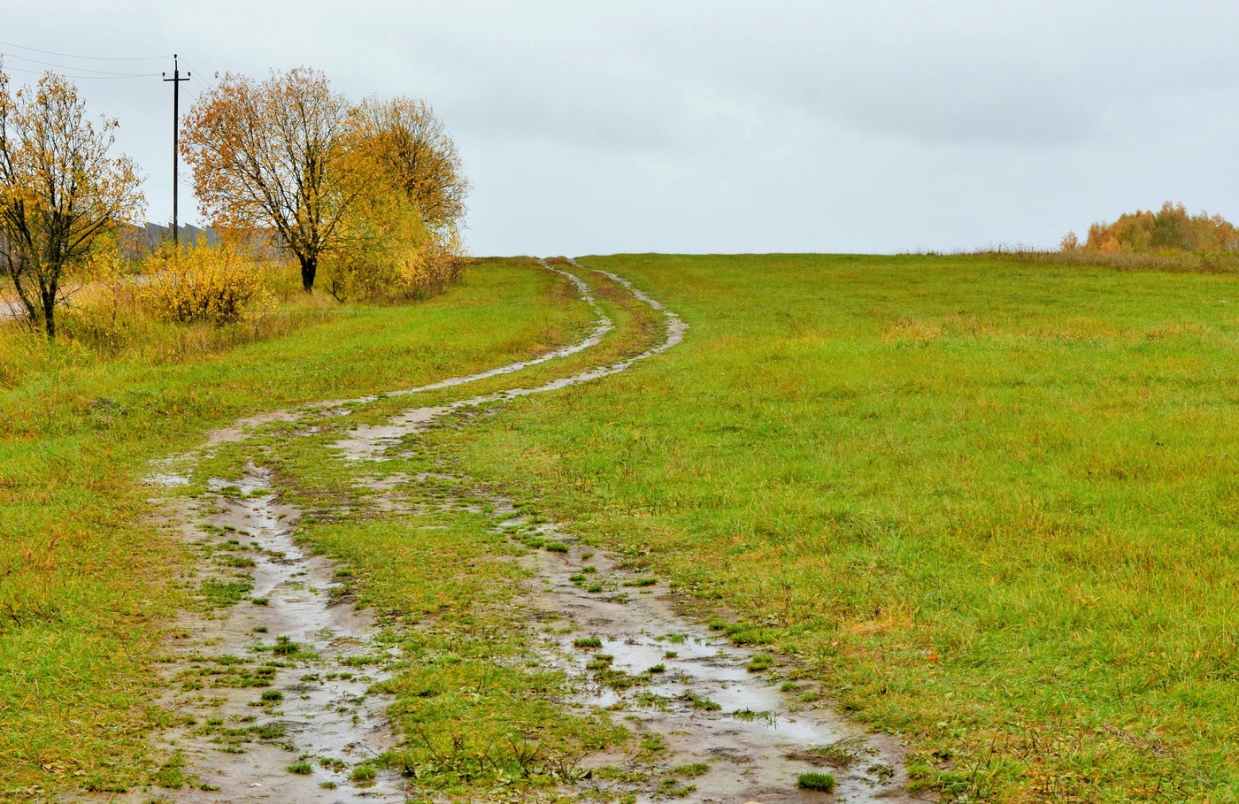 "Налетела грусть, ну что ж пойду пройдусь..."