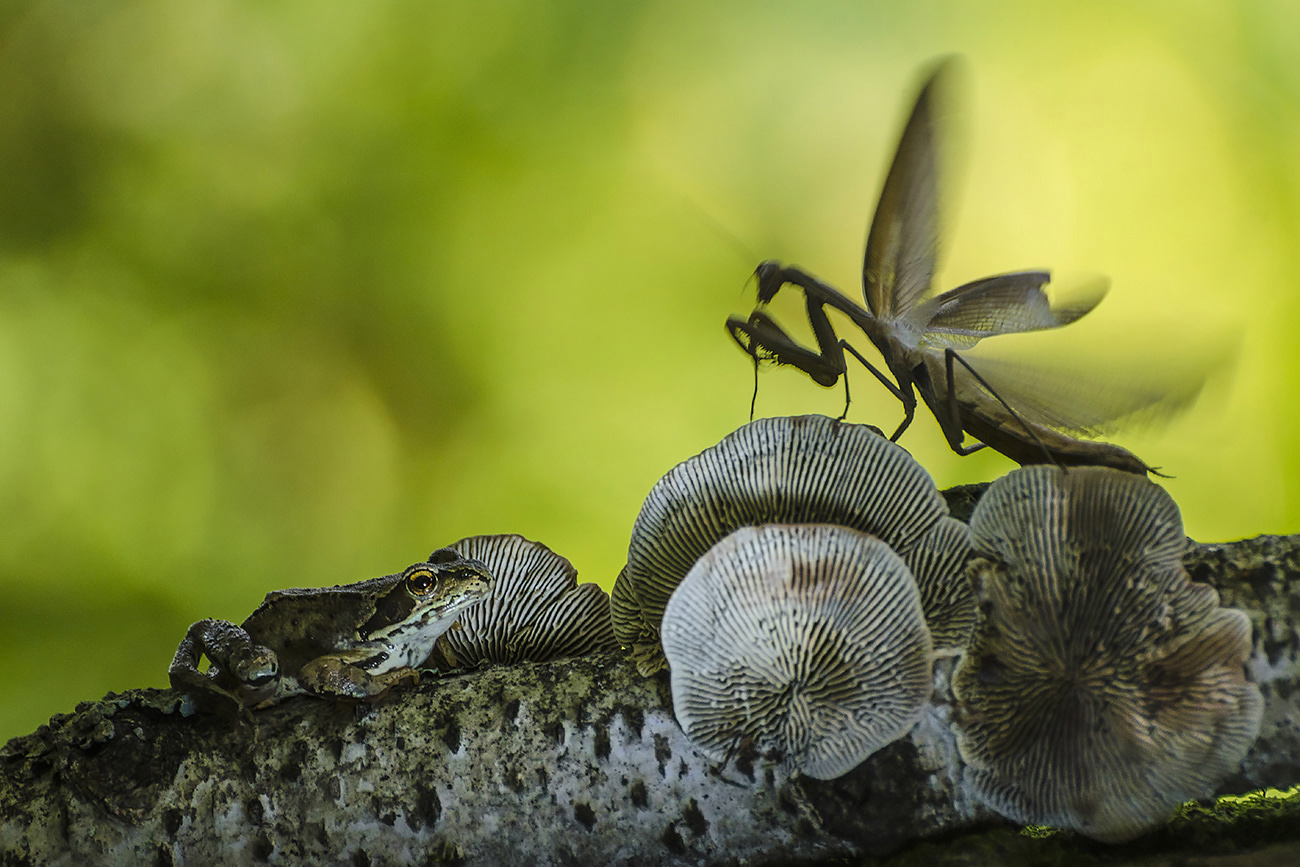 Когда придёт прекрасный принц?