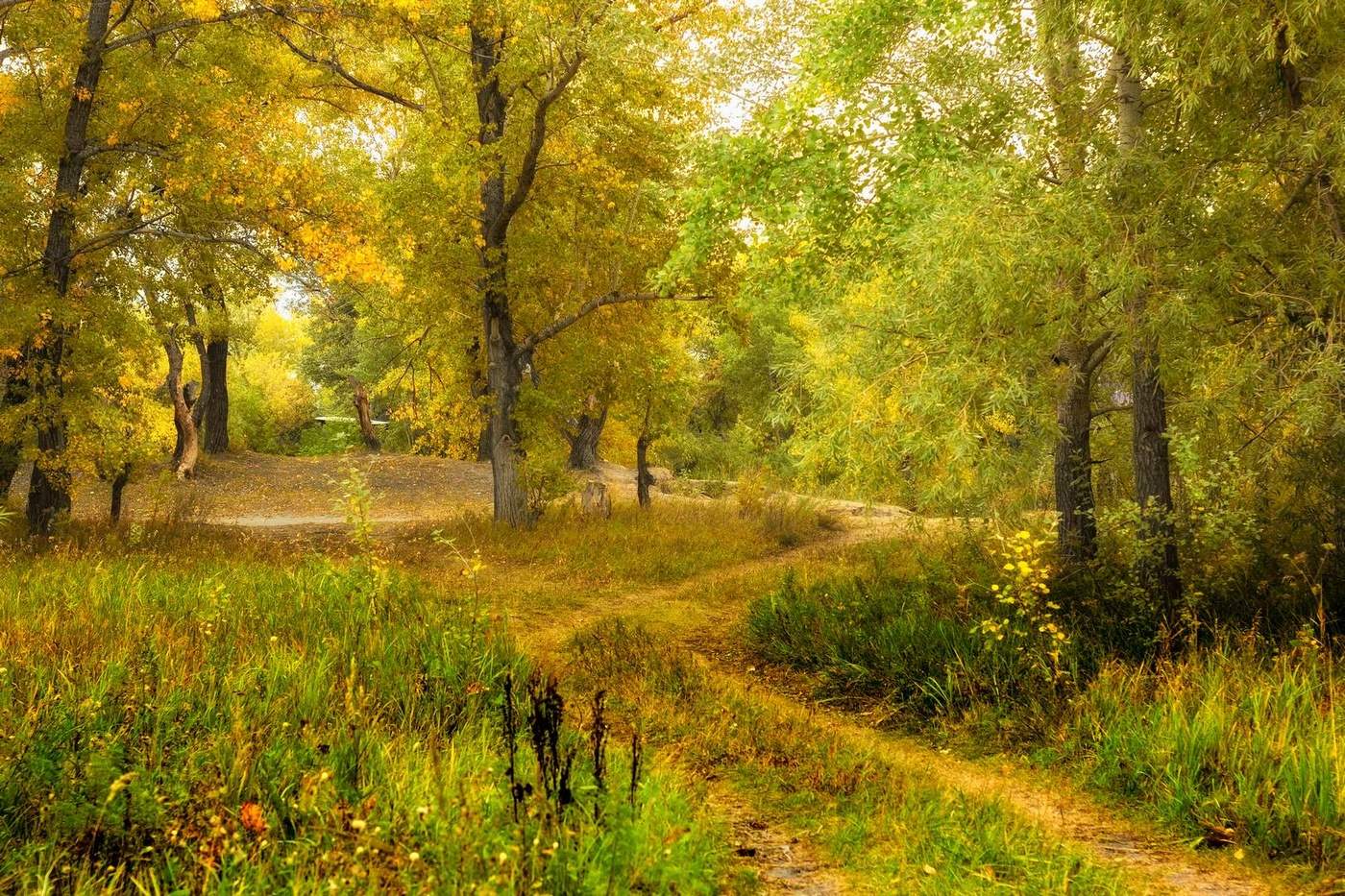 Осеннее настроение