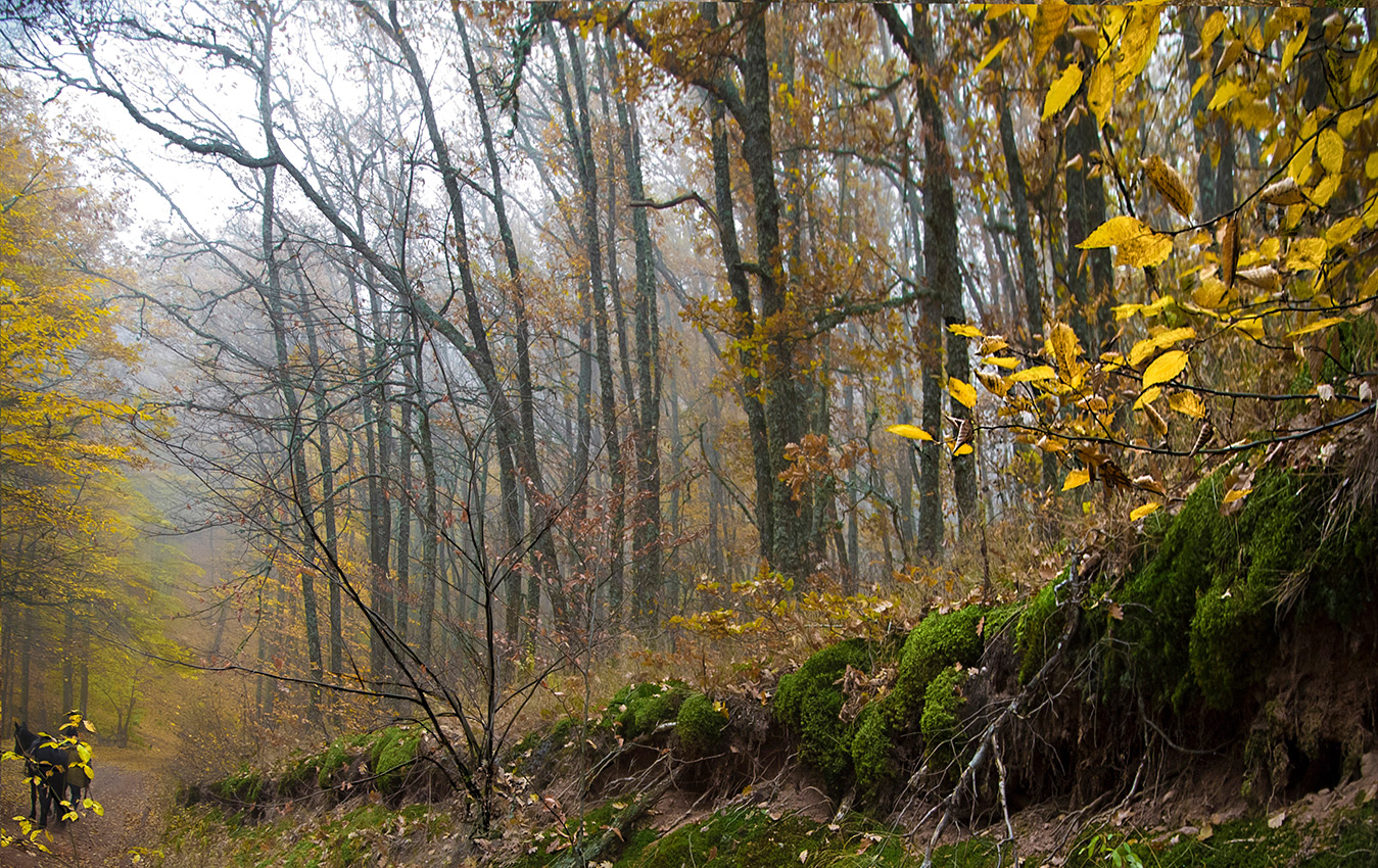 Что-то осеннее.