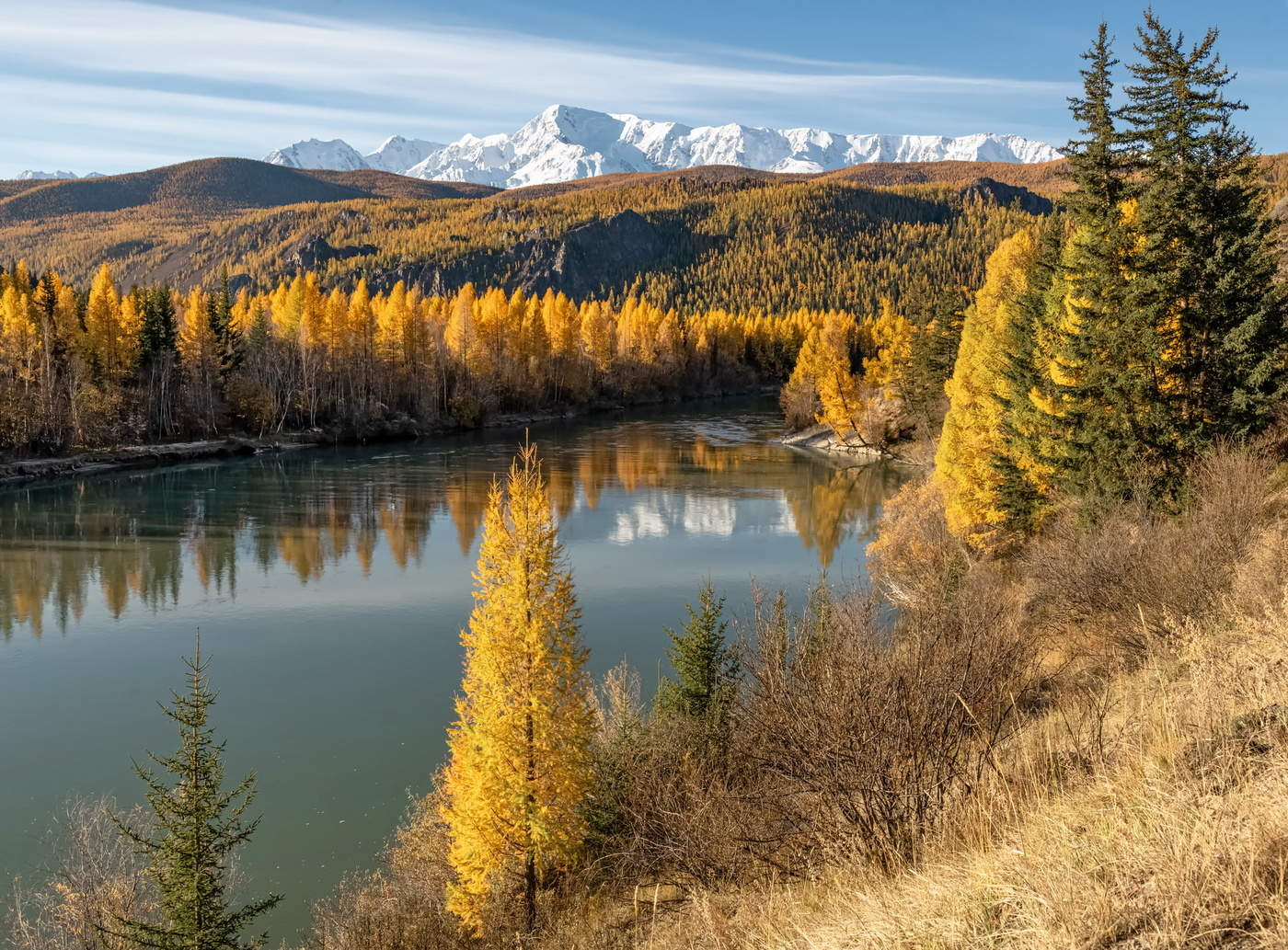 Красавица Чуя.