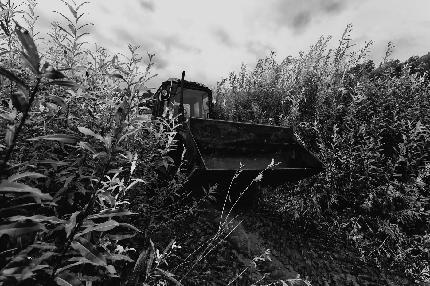 Жизнь вокруг