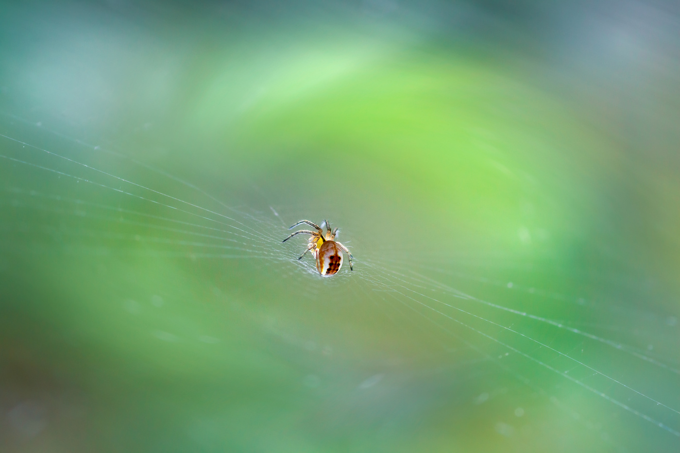Где-то во Вселенной...